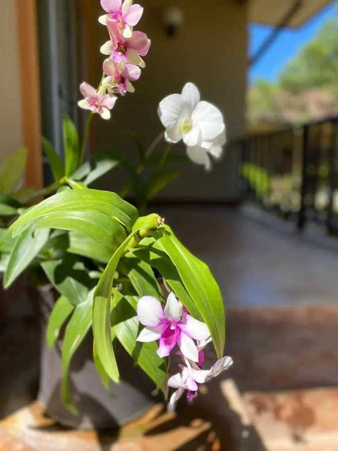 Hotel Sweet Mango Khaolak Khao Lak Thailand